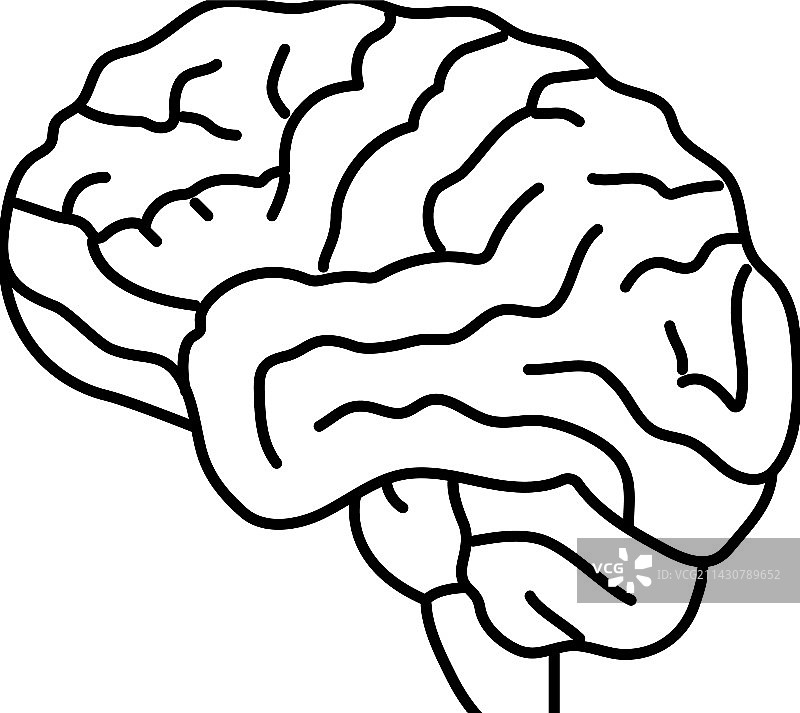人脑线性图标图片素材