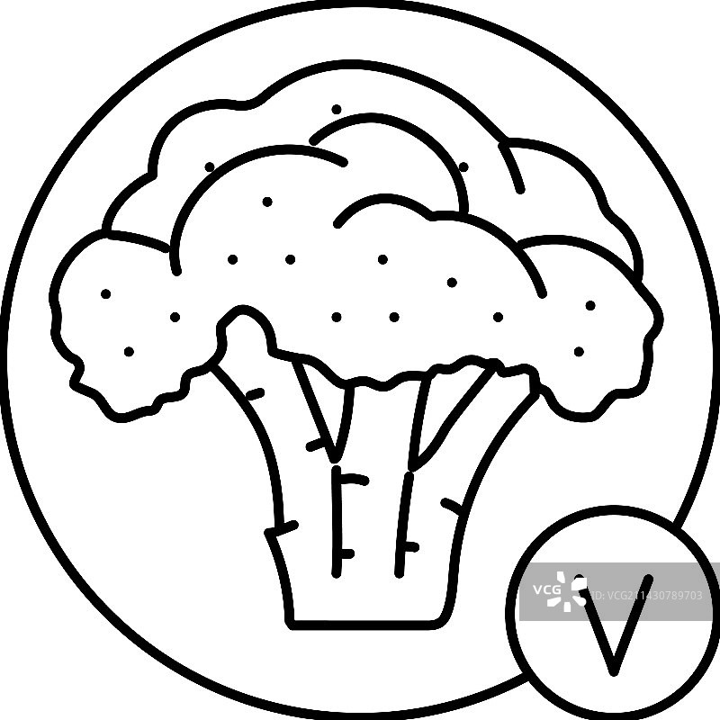维生素西兰花线性图标图片素材