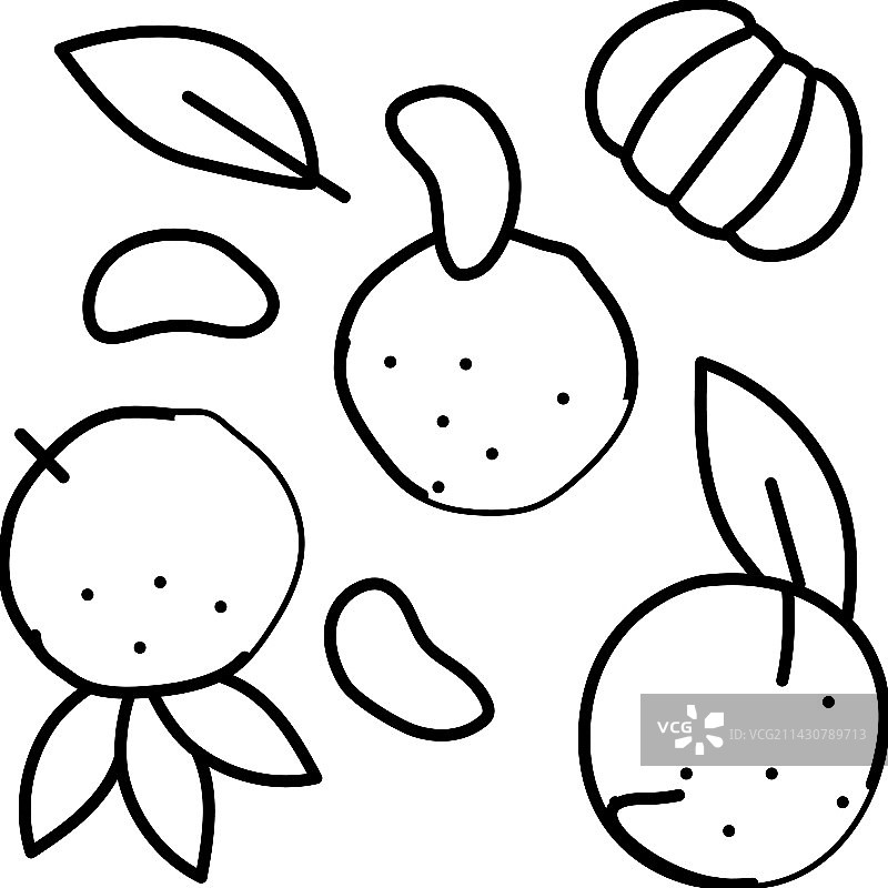 橘子瓣去皮线条图标图片素材
