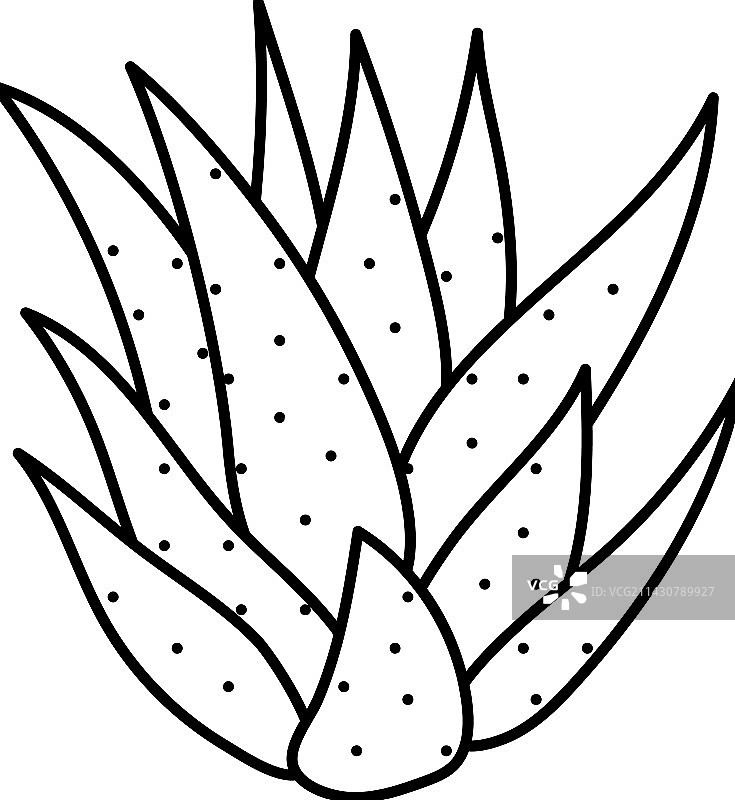 芦荟仙人掌线条图标图片素材