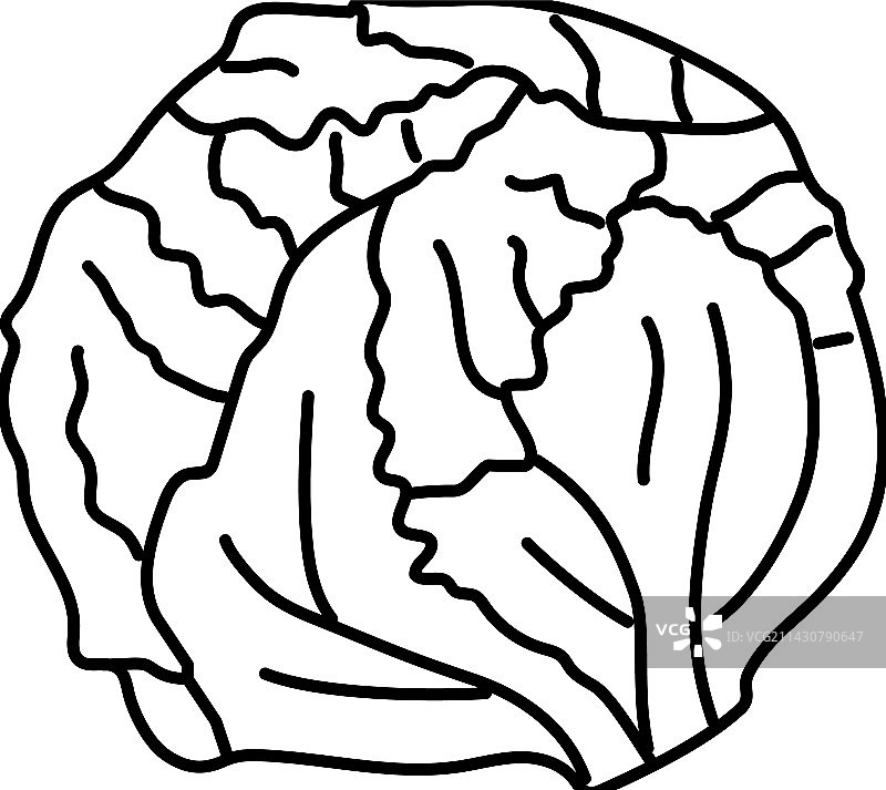 卷心生菜食品线性图标图片素材