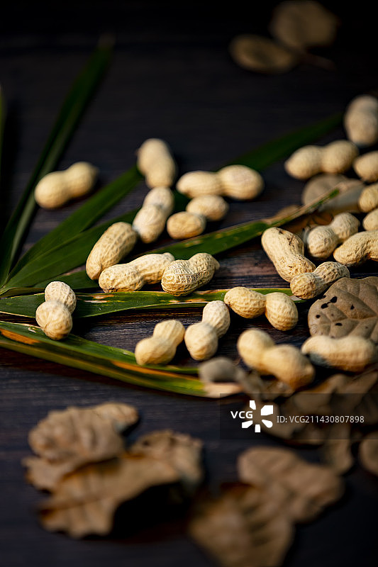 静物摄影花生图片素材