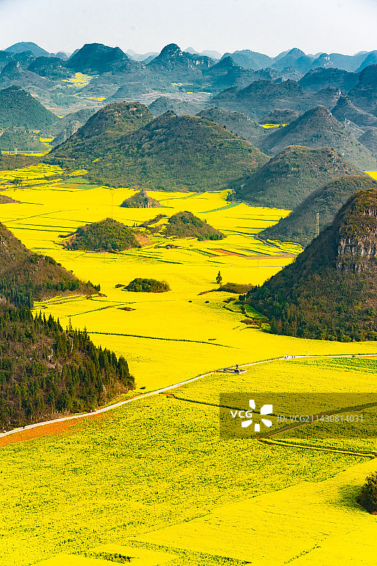 航拍罗平油菜花图片素材