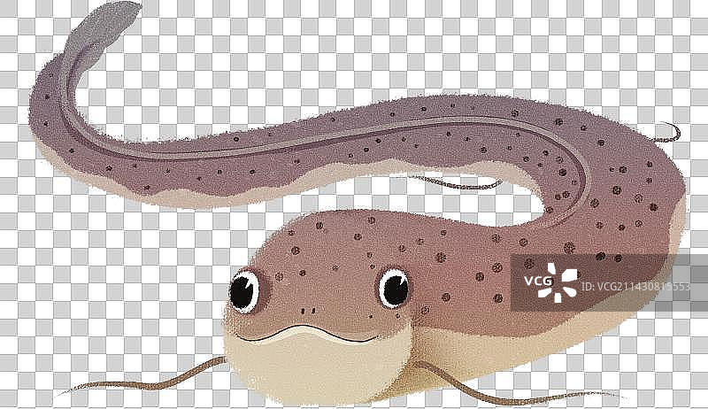 非洲肺鱼水产元素图片素材