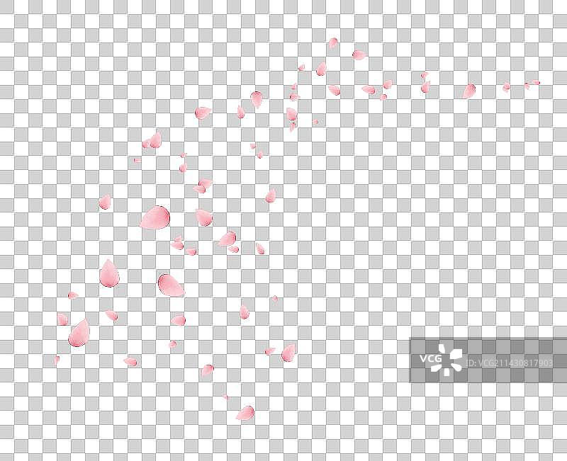 花瓣飞舞素材图片素材