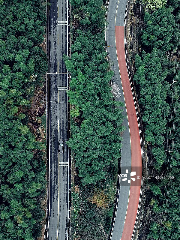 林间公路的高角度视图图片素材