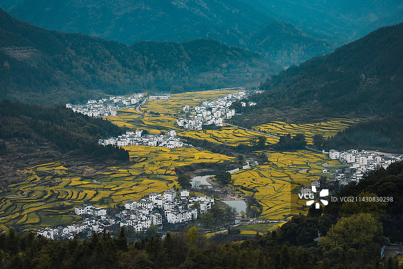 江岭梯田油菜花海图片素材