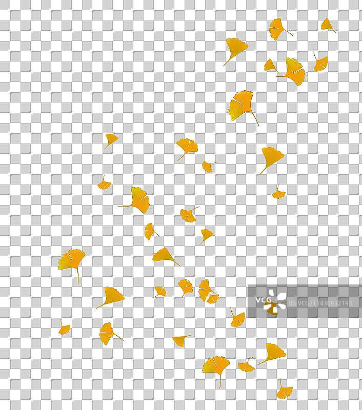 银杏叶飘落飞舞素材图片素材