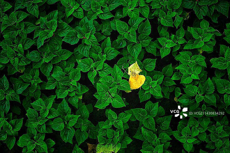 日坛公园图片素材