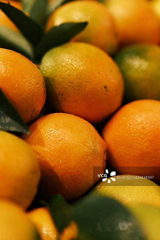 橘子图片素材