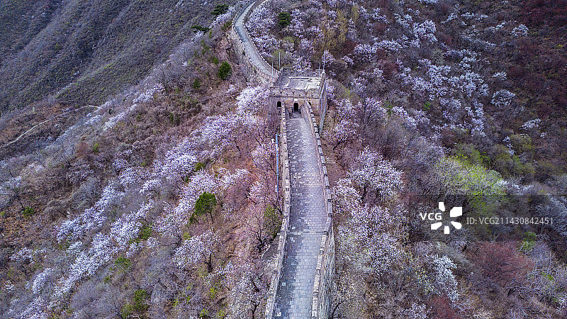 慕田峪长城-春图片素材