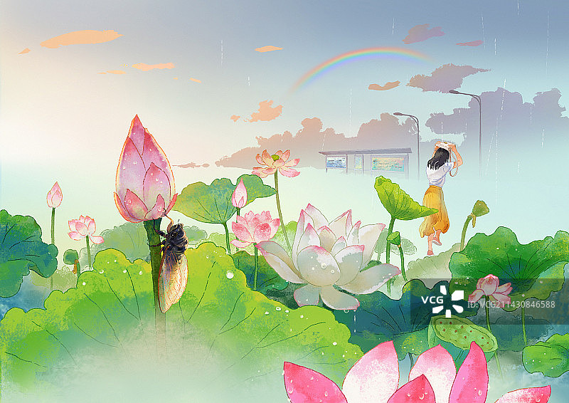 夏天傍晚有蝉的荷塘下起一阵太阳雨天边出现了彩虹一个没带伞的女孩拿包挡在头顶向远处的公交车站跑去图片素材