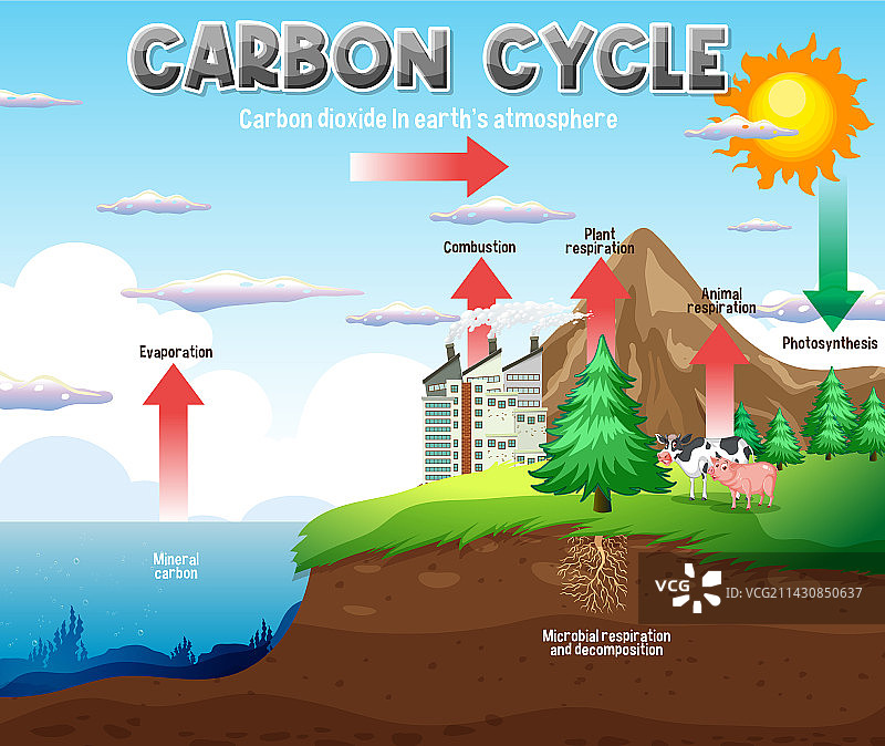 科学教育中的碳循环图图片素材