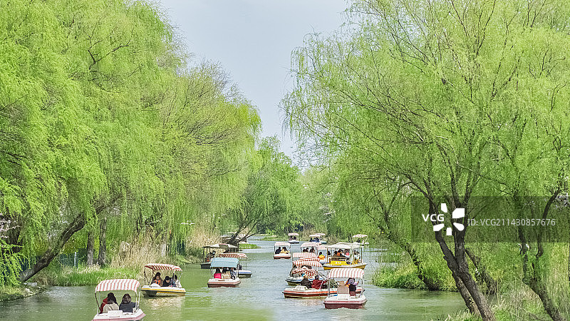 春天郊游湖边柳树游船踏青图片素材