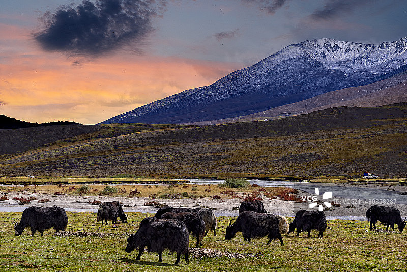 西藏鲁朗风光图片素材