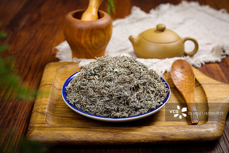 药用植物中草药材茵陈图片素材