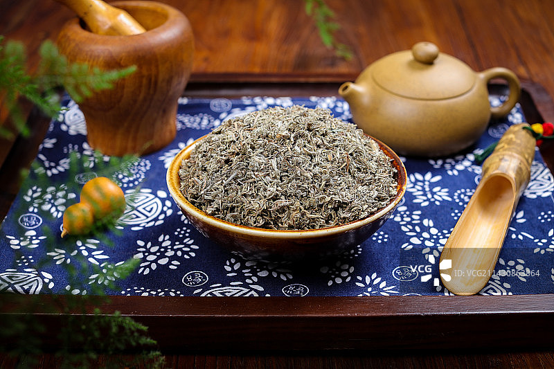 药用植物中草药材茵陈图片素材