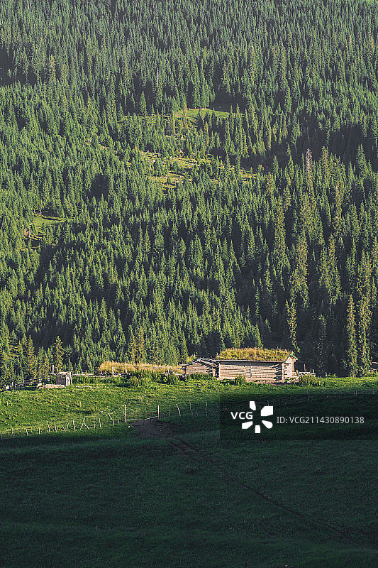 唐布拉草原图片素材