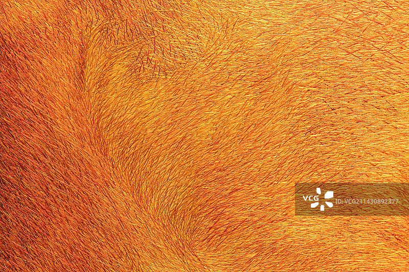 苏绣，刺绣，单面绣，双面绣，苏绣作品图片素材