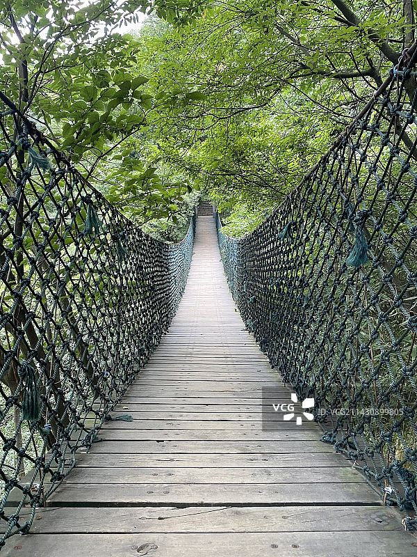 林中的空步道图片素材