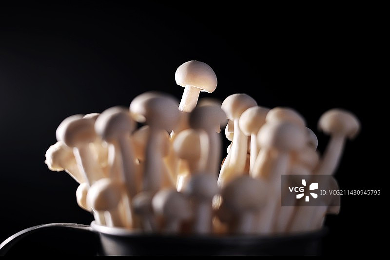 黑色背景下碗中蘑菇的特写镜头图片素材