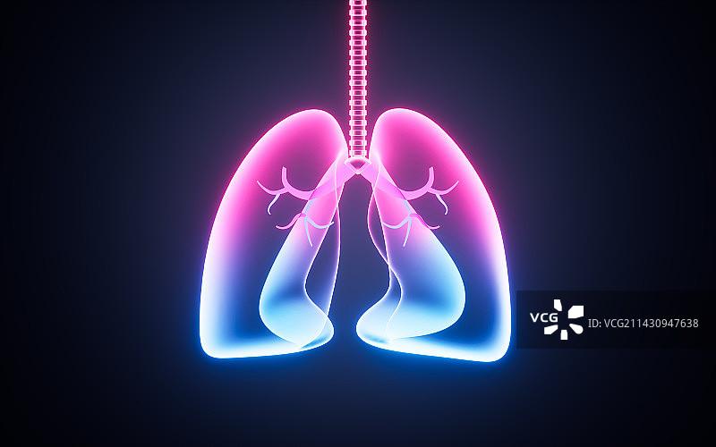 人类肺部结构图3D渲染图片素材