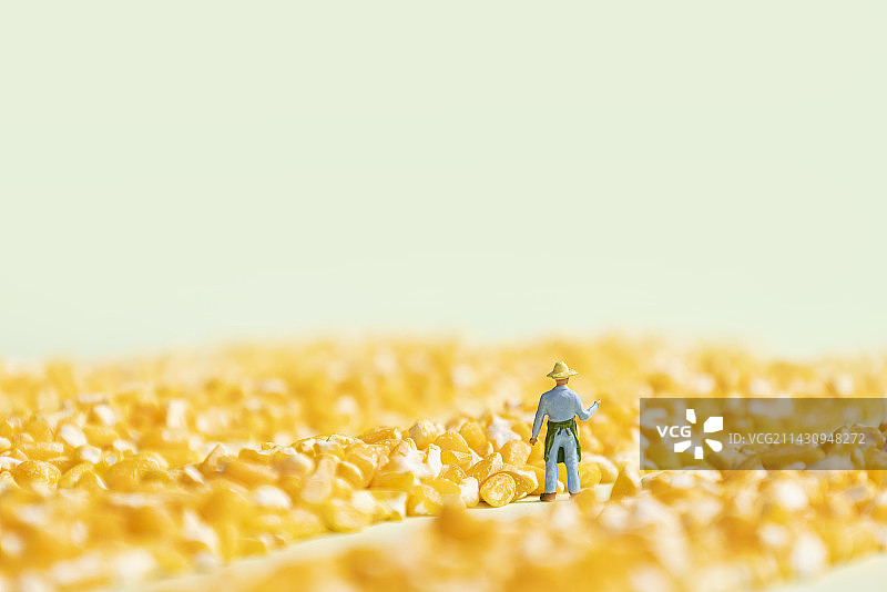 玉米碎农民丰收节微缩创意图片图片素材