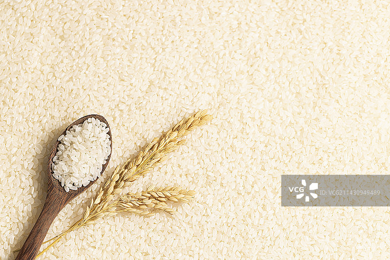 大米稻穗珍惜粮食创意图片素材