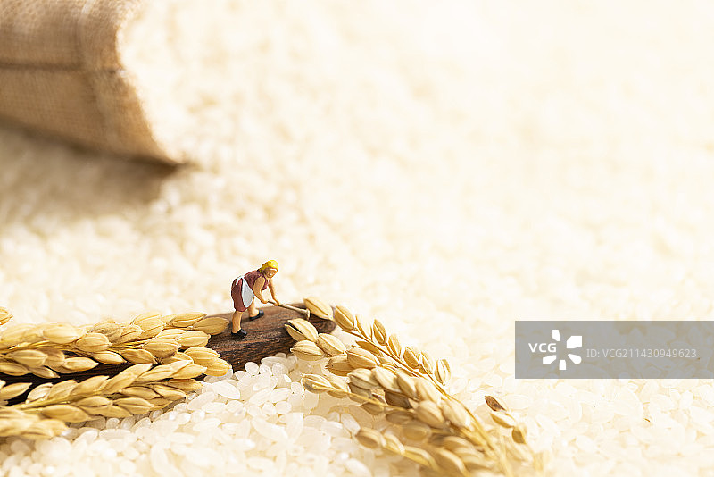 大米微缩创意秋收海报图片素材