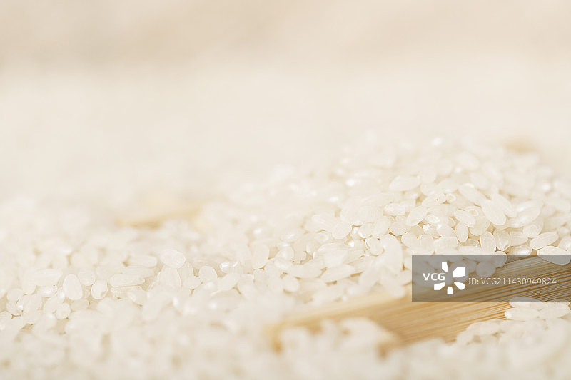 大米粮食亮调风格图片图片素材