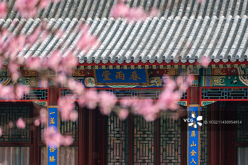 中国园林博物馆春雨堂桃花盛开图片素材