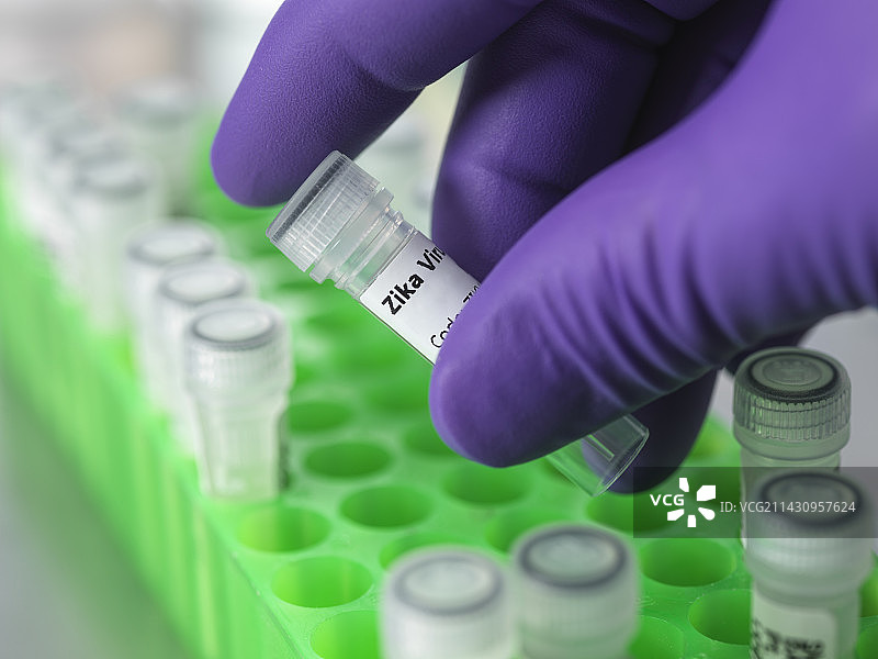 寨卡病毒研究图片素材