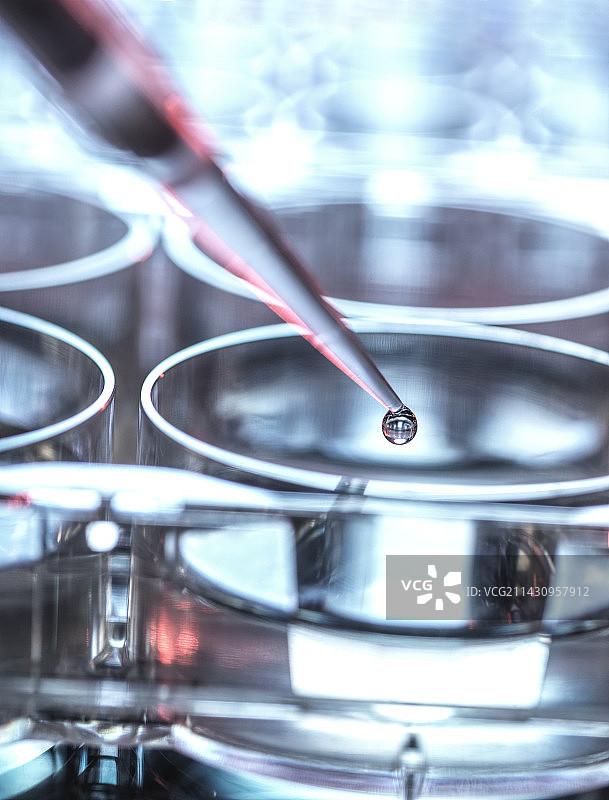 生物技术研究图片素材