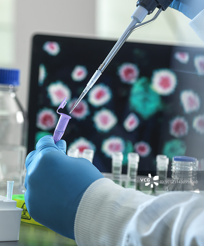 病毒研究图片素材