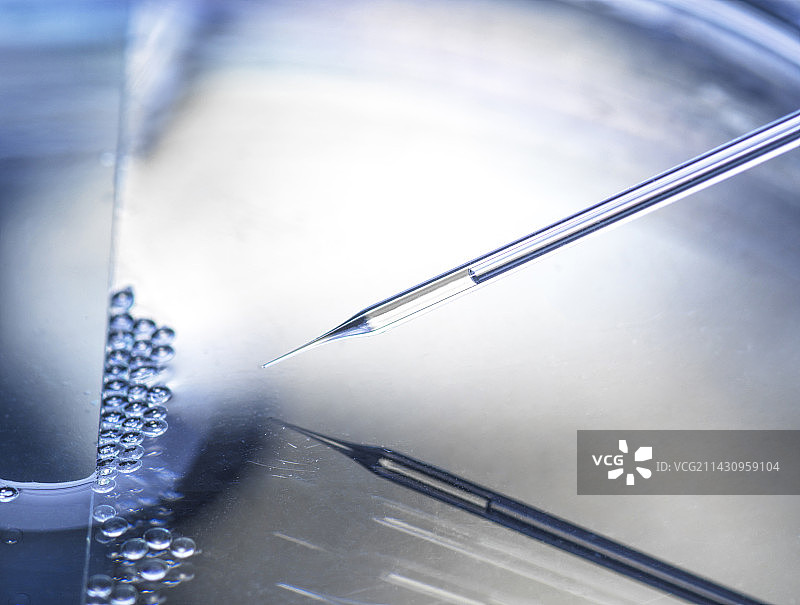 细胞研究图片素材