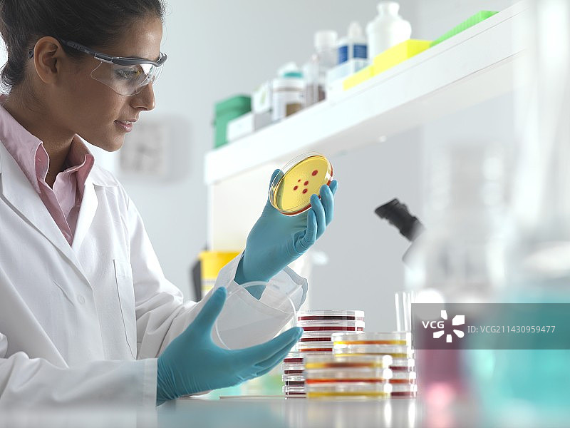 微生物学研究图片素材