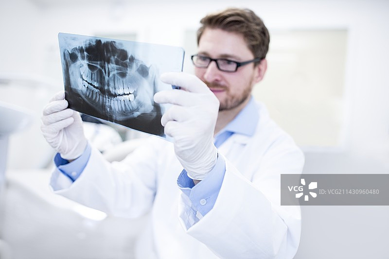 牙医手持X光片图片素材