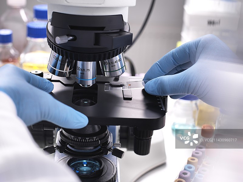 在光学显微镜下放置的样品图片素材