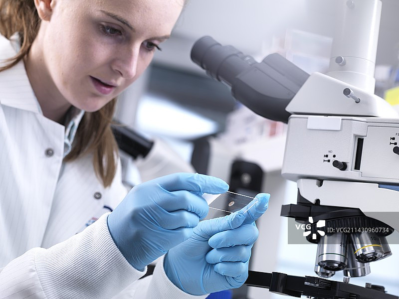 医疗筛查图片素材