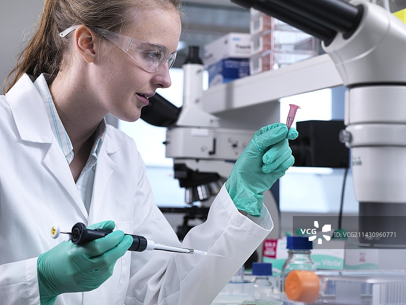 生物研究图片素材