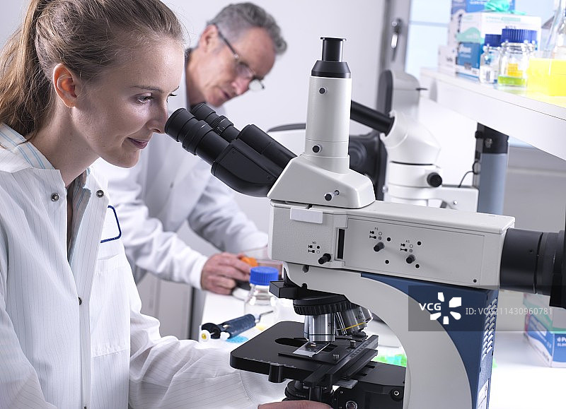 生物研究图片素材