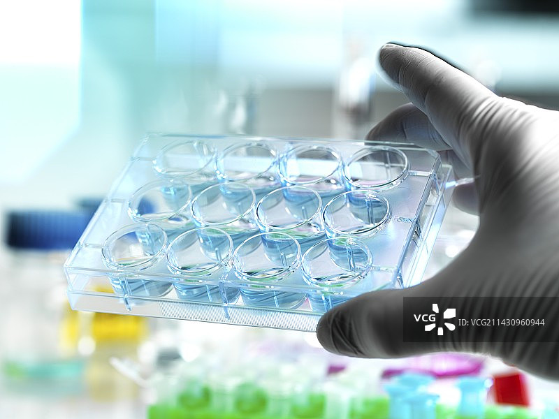 生物技术研究图片素材