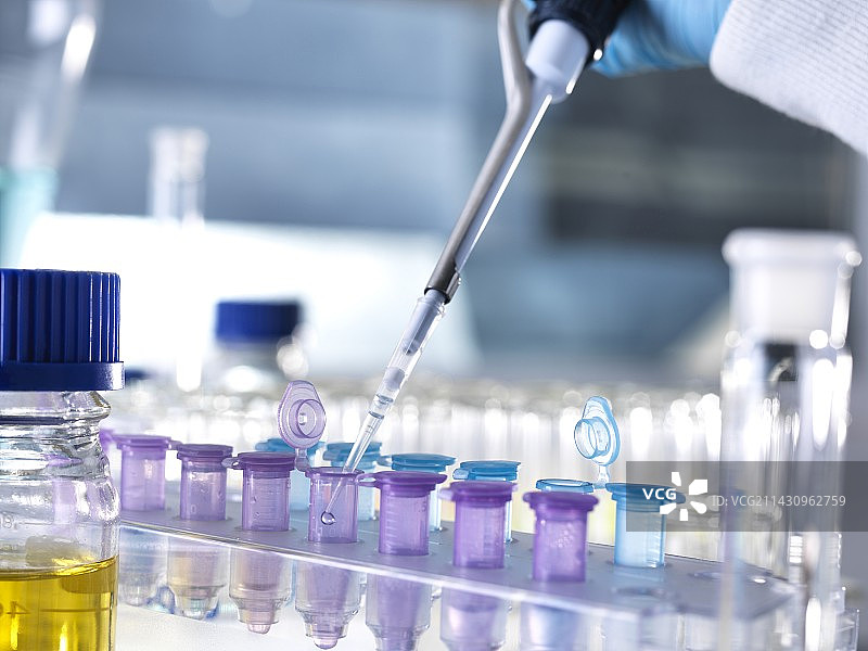 生物研究图片素材