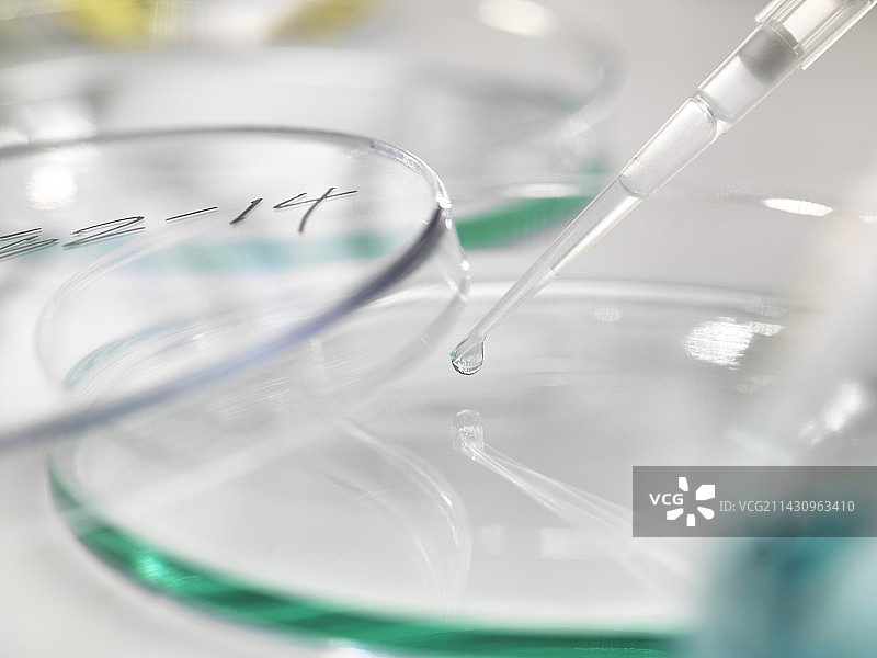 生物研究图片素材