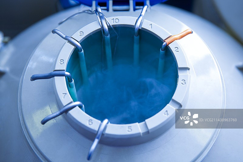 用于体外受精的卵子储存图片素材