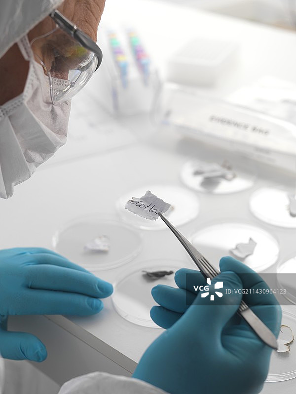 法医学图片素材