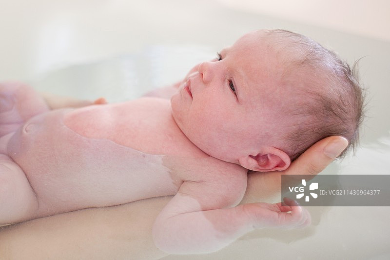 新生的婴儿图片素材