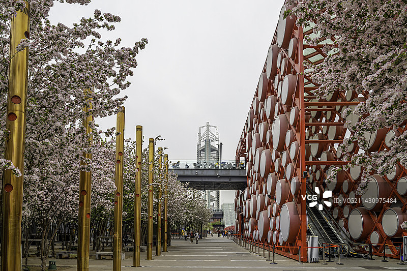 北京奥林匹克公园海棠花盛开图片素材