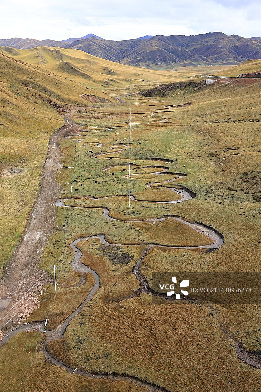 甘南 桑科草原 白云朵朵图片素材