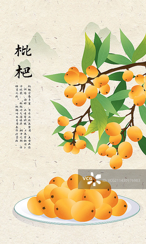 国风夏季水果枇杷插画海报图片素材